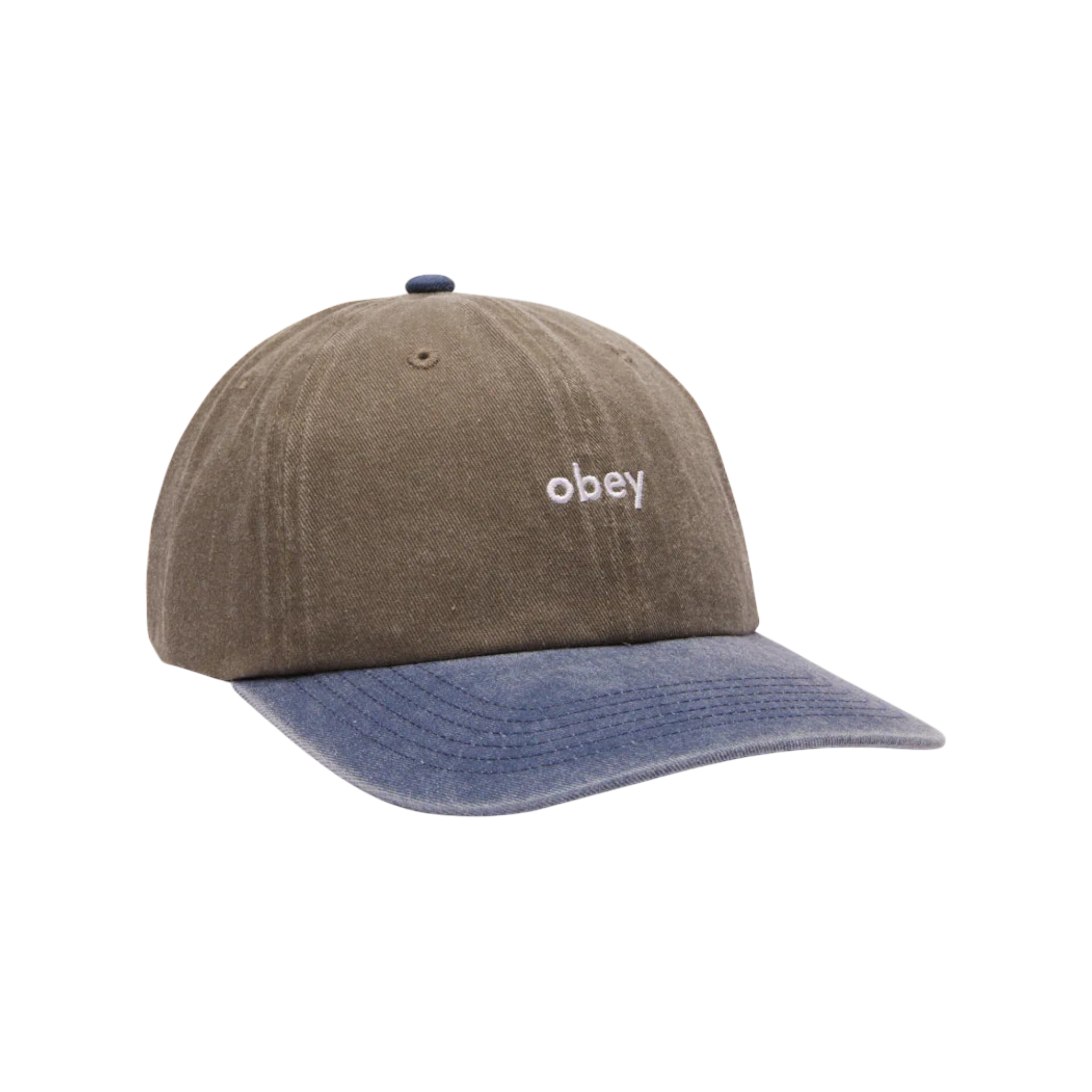 OBEY - PIGMENT 2-TONE LOWERCASE 6 PANEL OLIVE MULTI