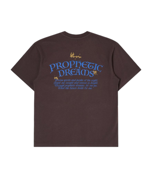 EDWIN - PROPHETIC DREAMS T-SHIRT BROWN