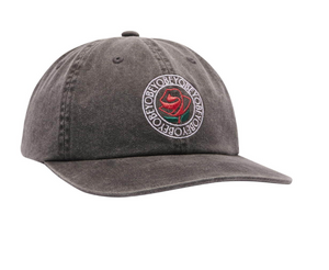 OBEY - PIGMENT STUDIO 6 PANEL SNAPBACK GREY